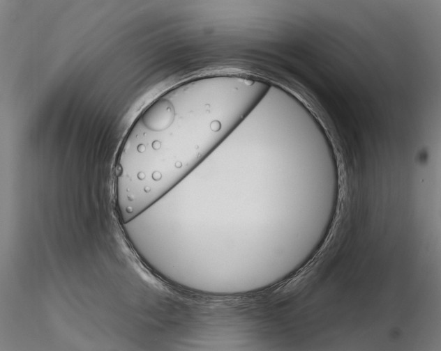 X0000115700858200912031503