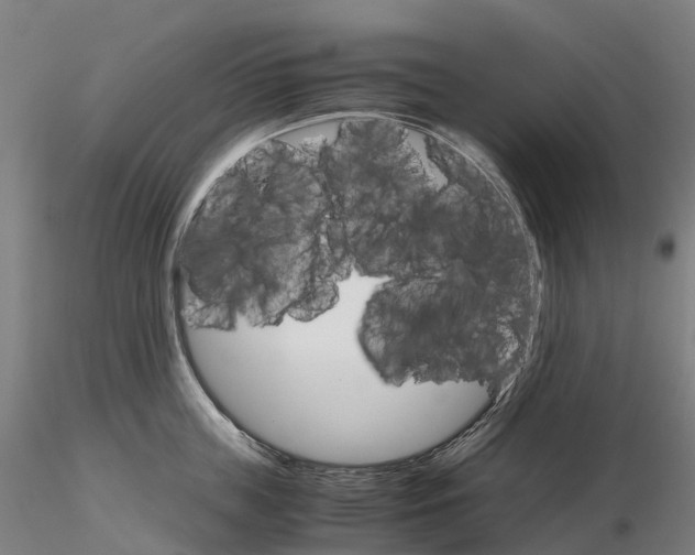 X0000115700859200912031503