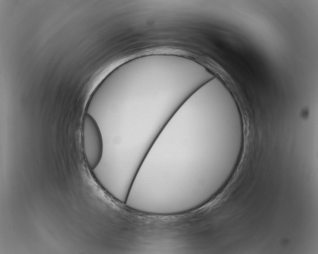 X0000115700860200912031503