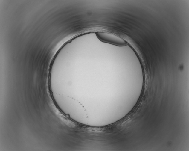 X0000115700861200912031503