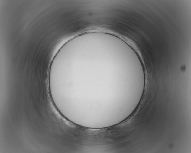 X0000115700863200912031504