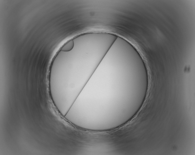 X0000115700864200912031504