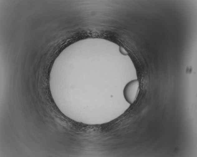 X0000115700865200912031503