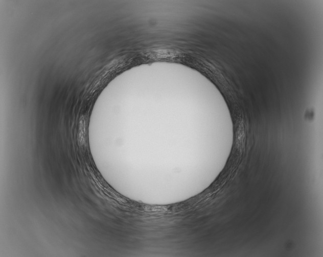 X0000115700866200912031503