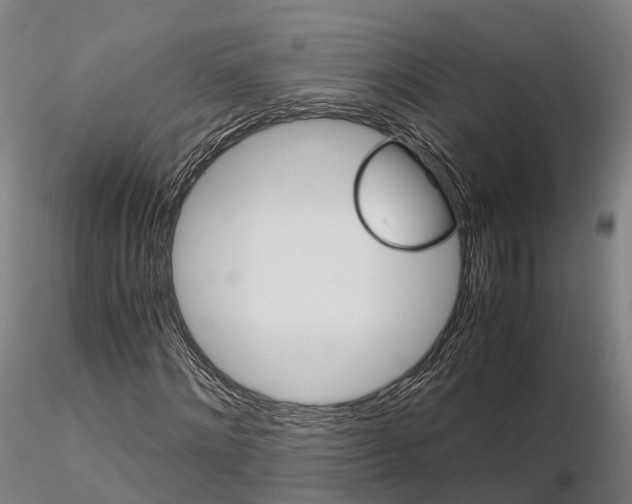 X0000115700868200912031503