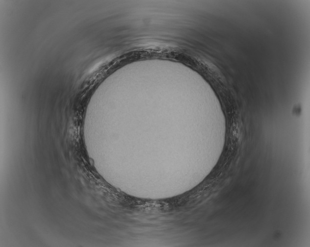 X0000115700869200912031503