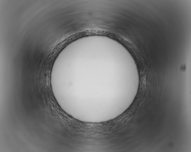 X0000115700870200912031503