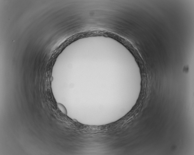 X0000115700871200912031503