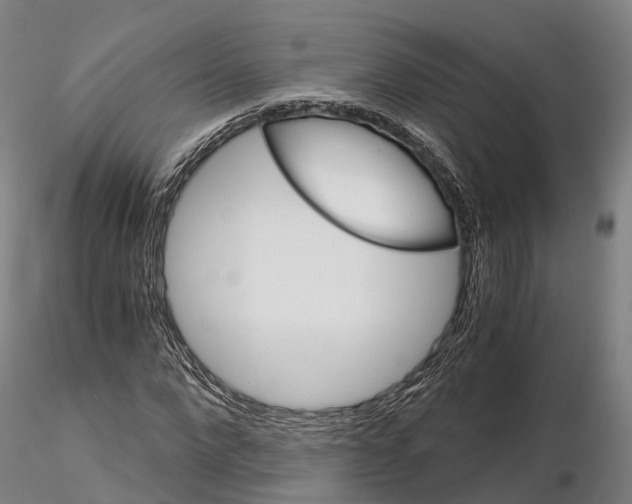 X0000115700872200912031503