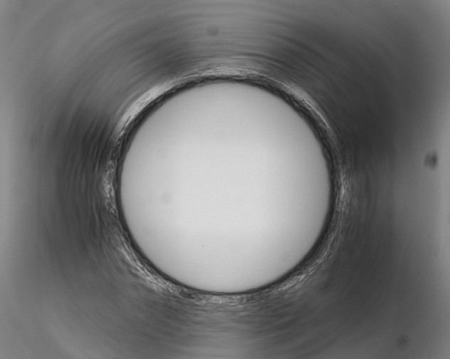 X0000115700874200912031503