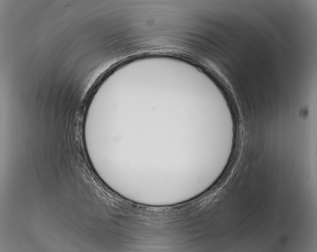 X0000115700875200912031503