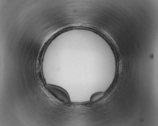 X0000115700876200912031503