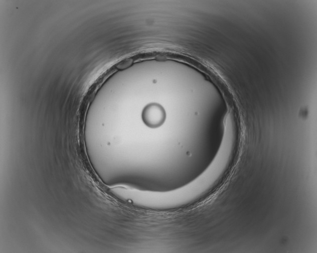 X0000115700877200912031503