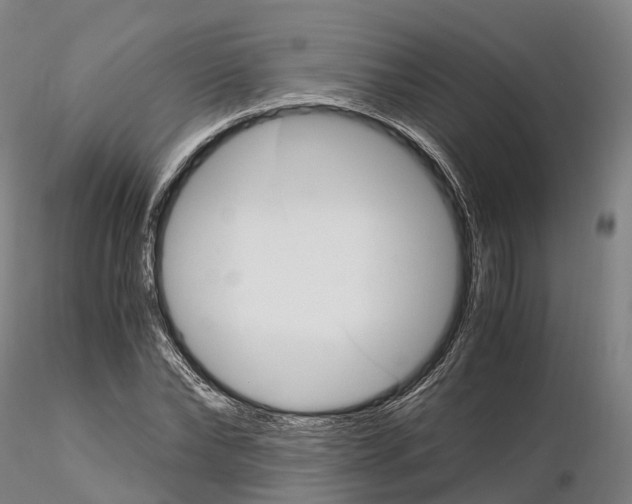 X0000115700878200912031503