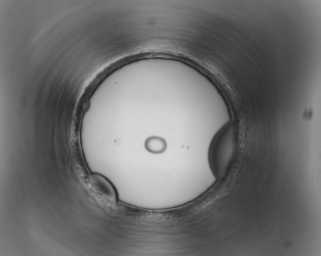 X0000115700880200912031502