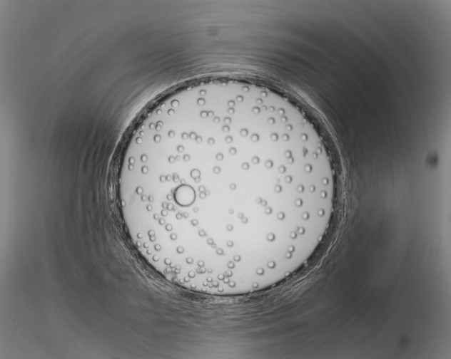 X0000115700883200912031502