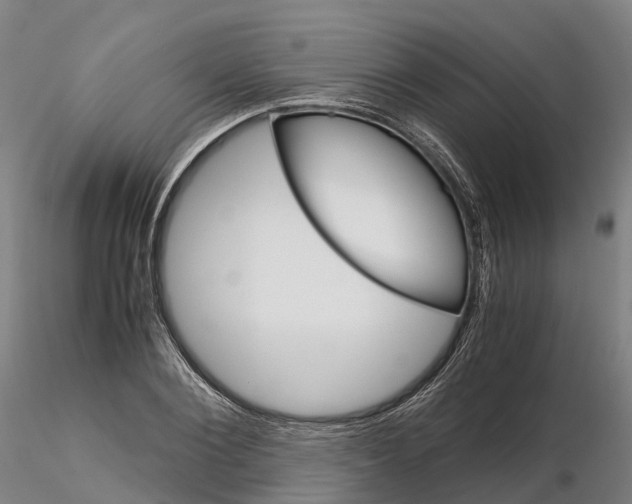 X0000115700884200912031502