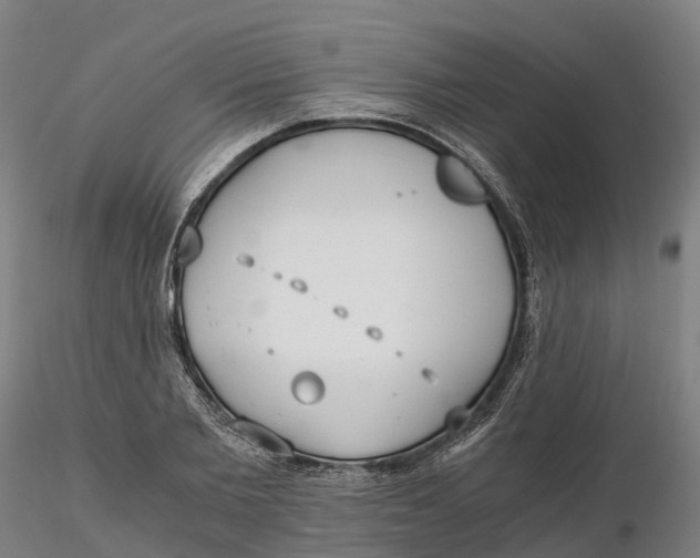 X0000115700885200912031502