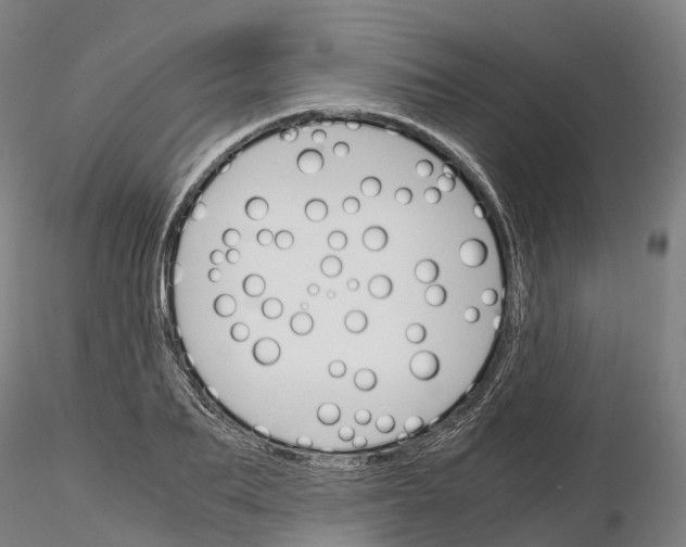 X0000115700887200912031502