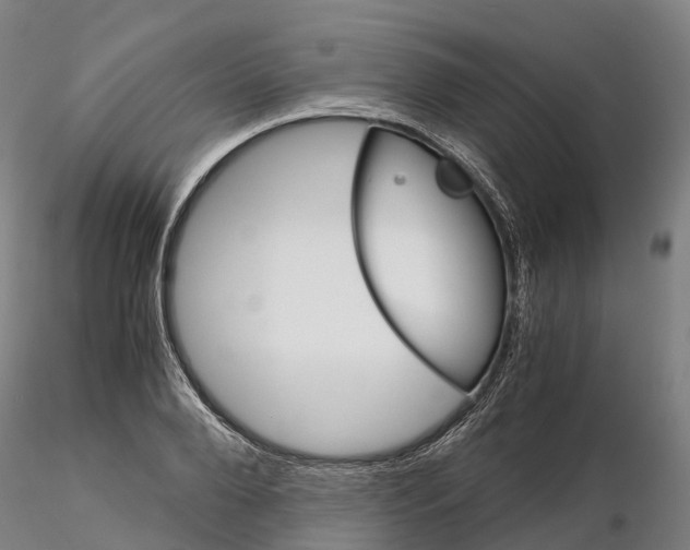 X0000115700888200912031502