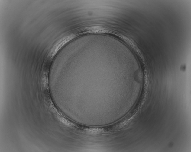 X0000115700889200912031502