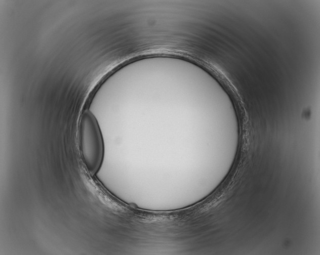 X0000115700892200912031502