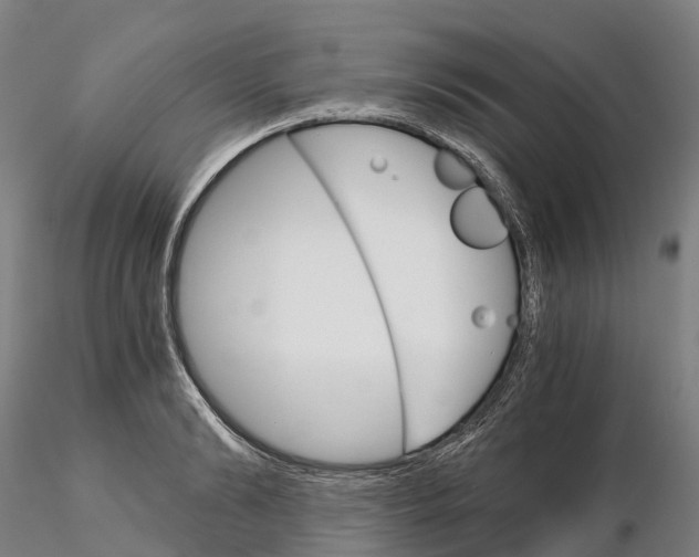 X0000115700894200912031502