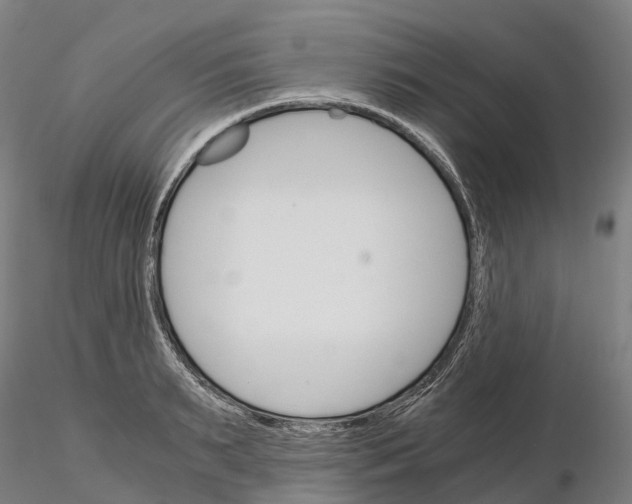 X0000115700895200912031502