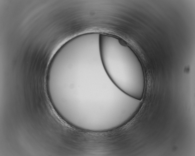 X0000115700896200912031502