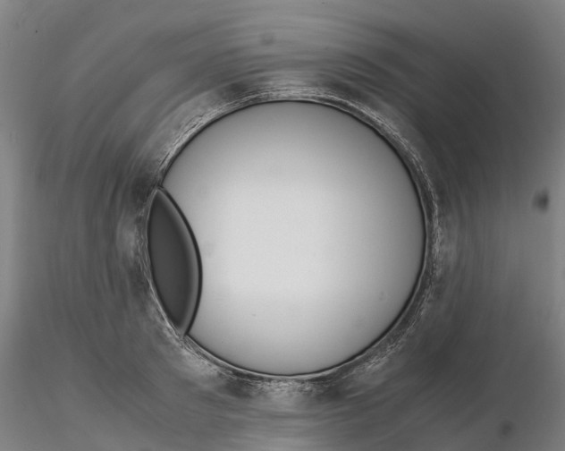 X0000115700897200912031502