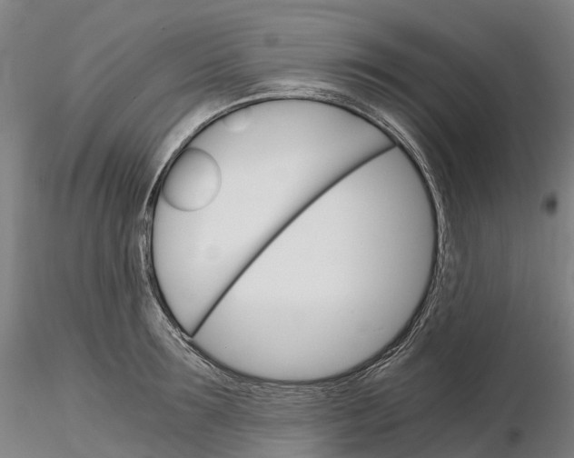 X0000115700899200912031502