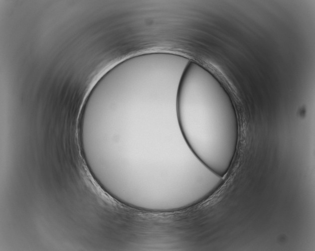 X0000115700900200912031502