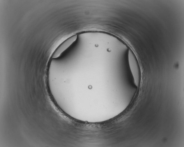 X0000115700901200912031502