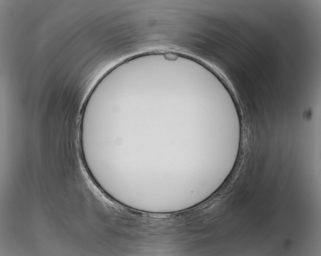 X0000115700903200912031502