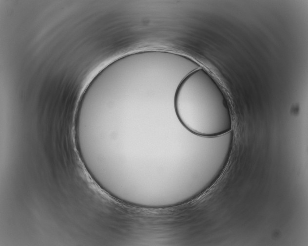 X0000115700904200912031502