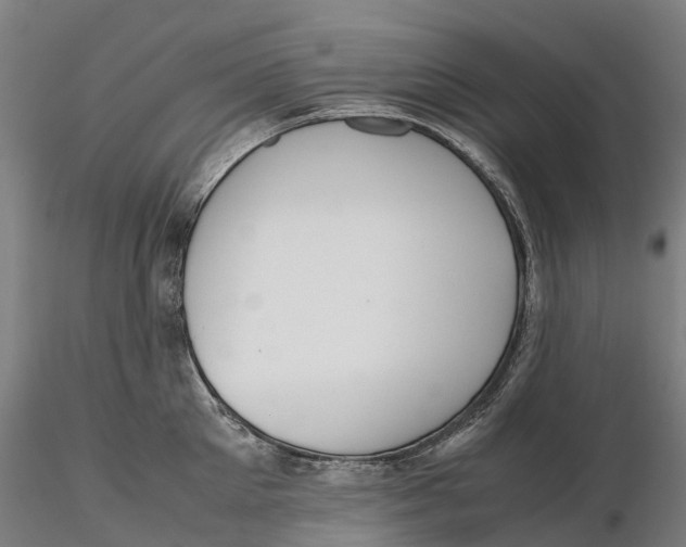 X0000115700905200912031502