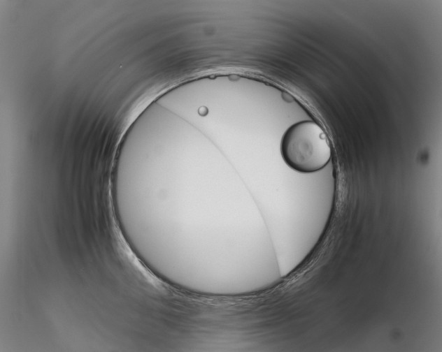 X0000115700906200912031502