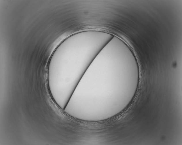 X0000115700907200912031502