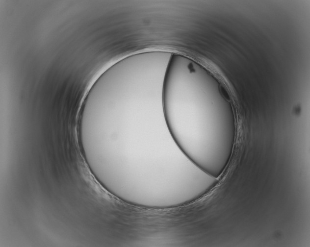 X0000115700908200912031502