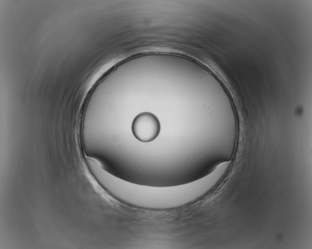 X0000115700909200912031502