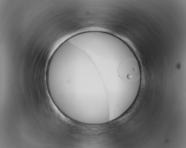 X0000115700910200912031502