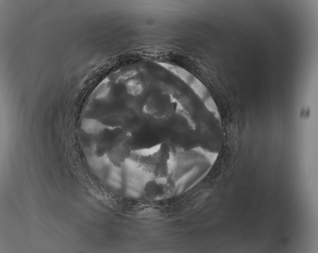 X0000115700913200912031501