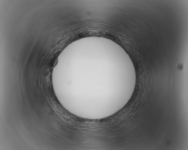 X0000115700914200912031501