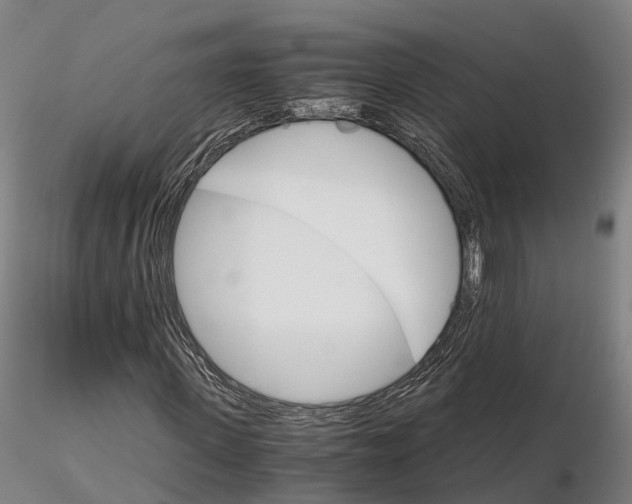 X0000115700915200912031501