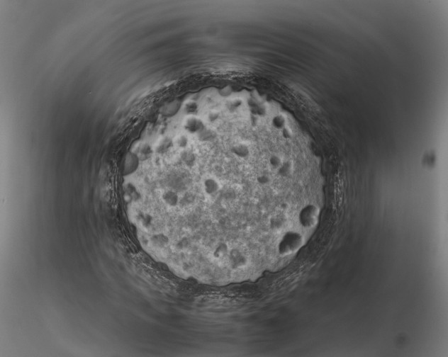 X0000115700917200912031501