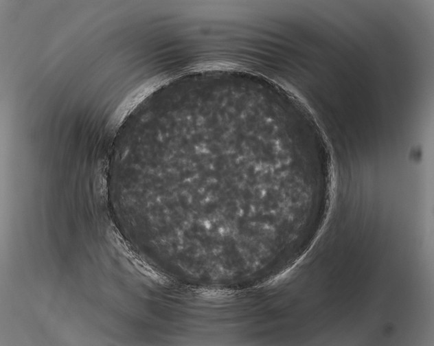 X0000115700921200912031501