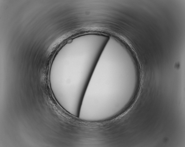 X0000115700922200912031502