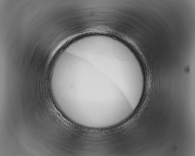 X0000115700923200912031502