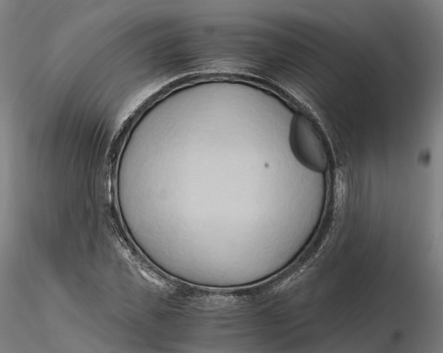 X0000115700925200912031502