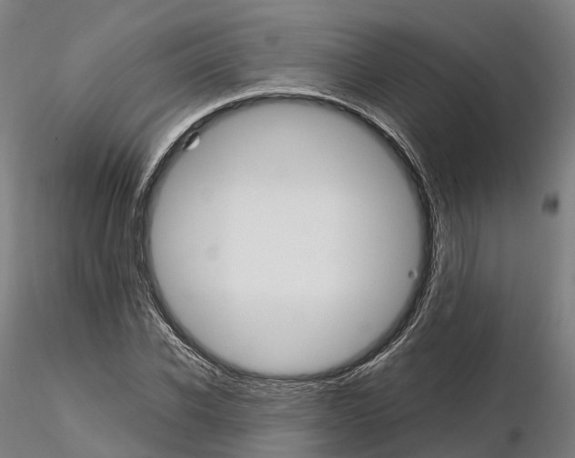 X0000115700926200912031502